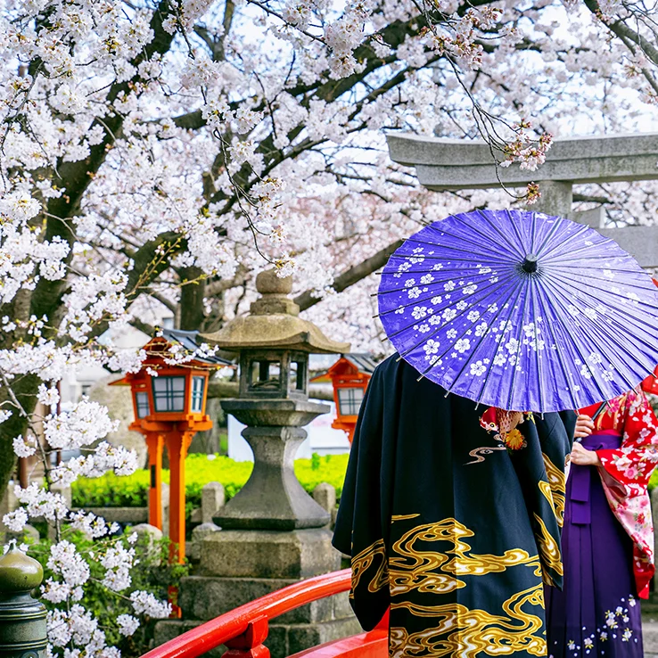Culture Japonaise